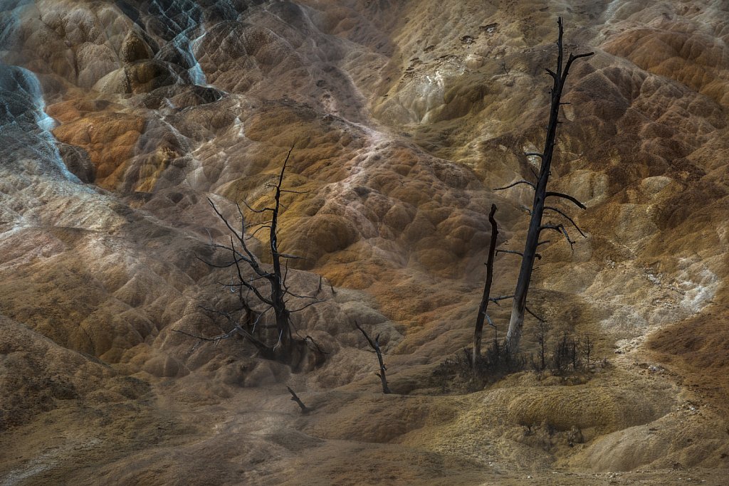 Mammoth Hot Springs