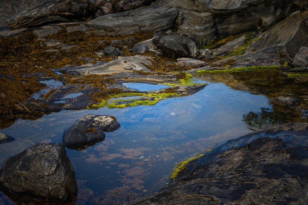 2013-0624-112250.jpg