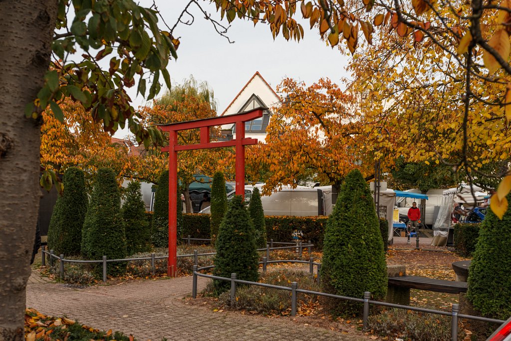 Hofheimer Gallusmarkt - Stadt Hofheim am Taunus