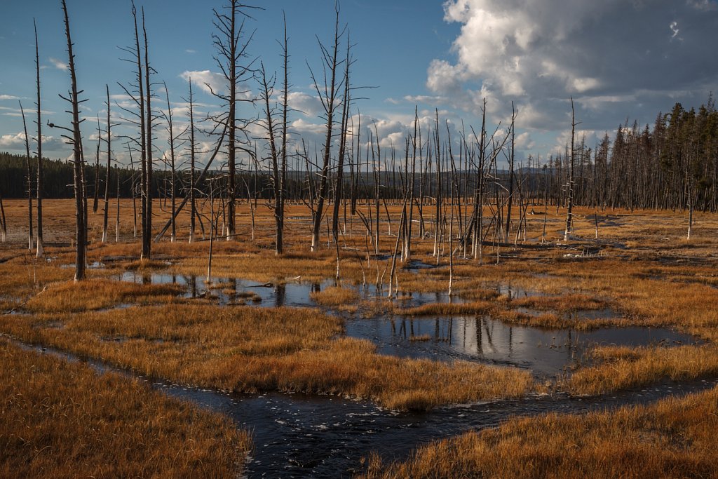 Yellowstone - Variationen