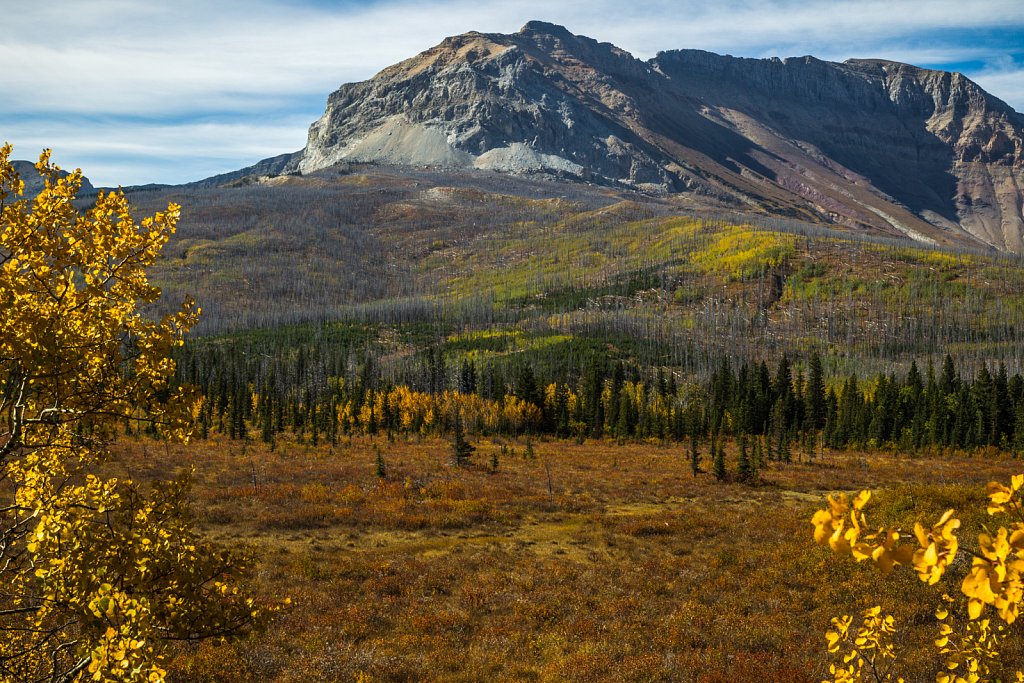 Im Gebiet des Waterton Lakes National Park.