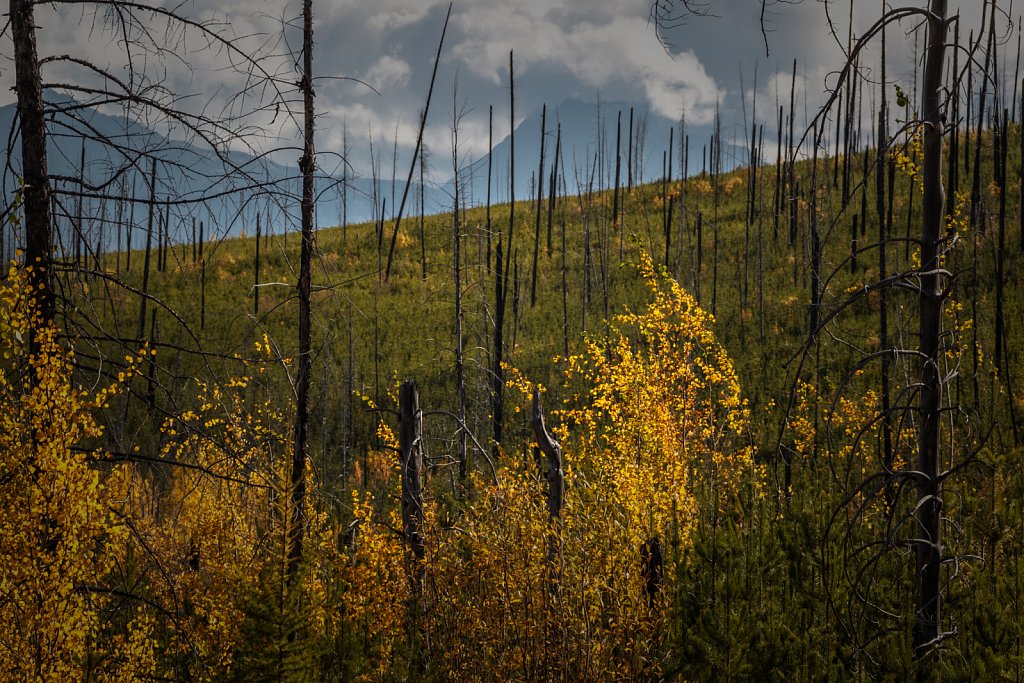 Glacier National Park