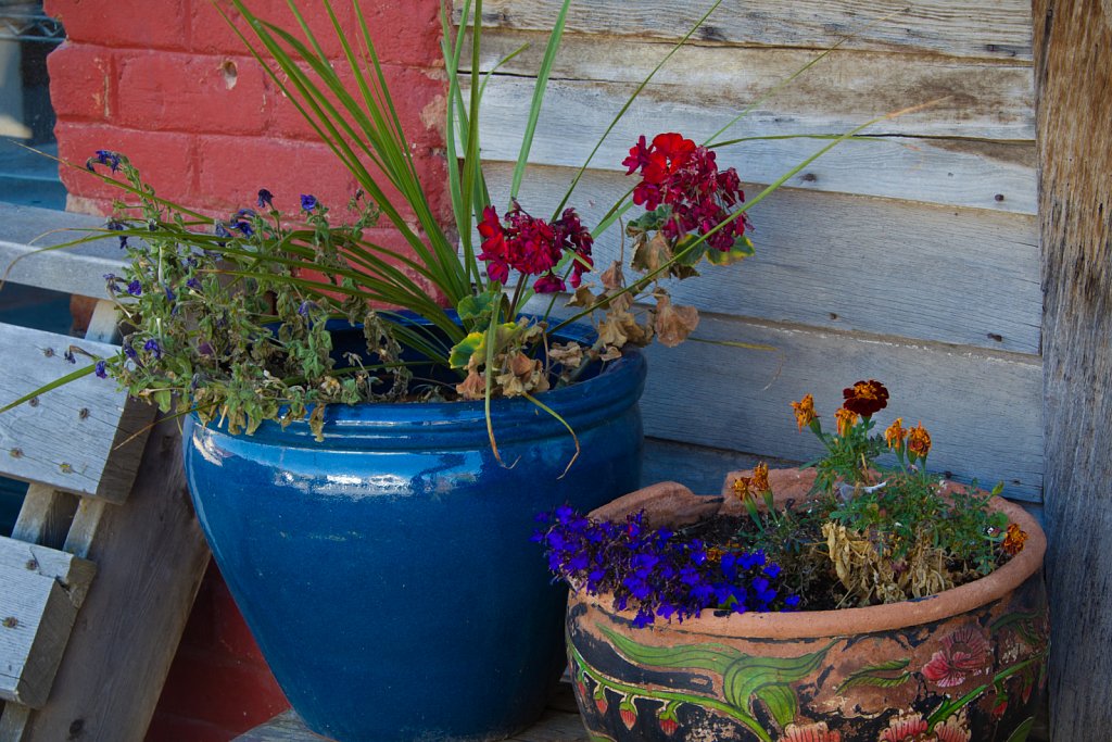 Virginia City, Montana