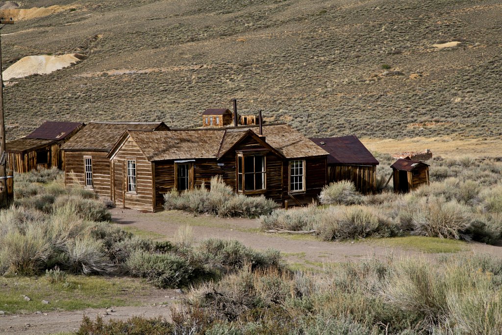 Bodie