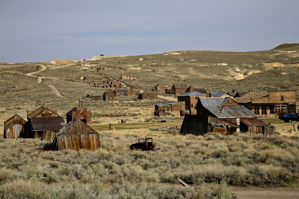 Bodie